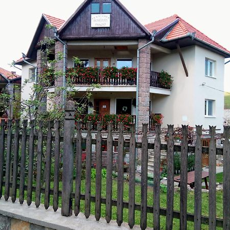 Pensiunea Bordas Panzio Sfântu Gheorghe Bagian luar foto