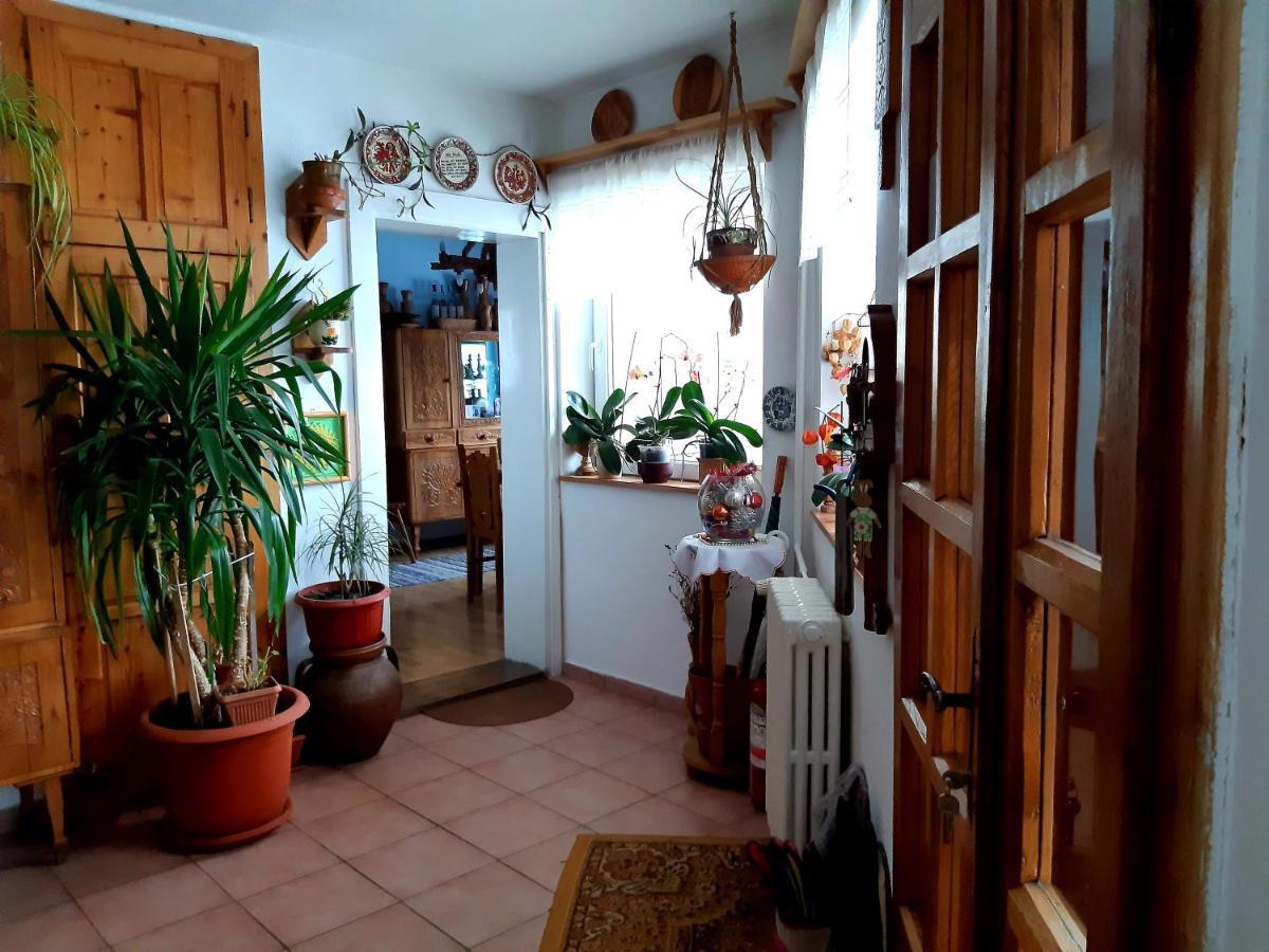 Pensiunea Bordas Panzio Sfântu Gheorghe Bagian luar foto