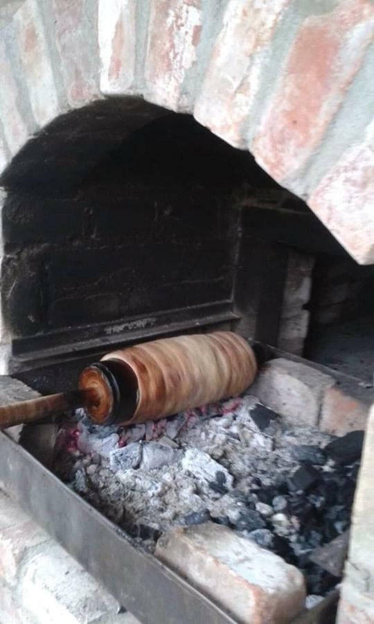 Pensiunea Bordas Panzio Sfântu Gheorghe Bagian luar foto