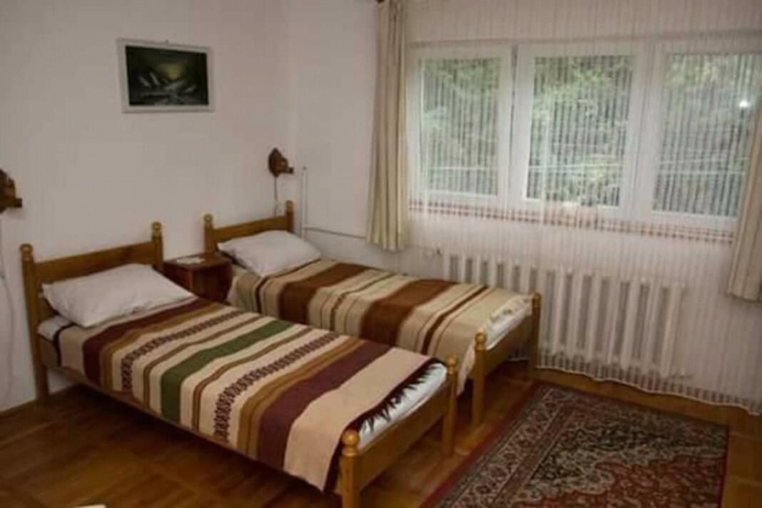 Pensiunea Bordas Panzio Sfântu Gheorghe Bagian luar foto